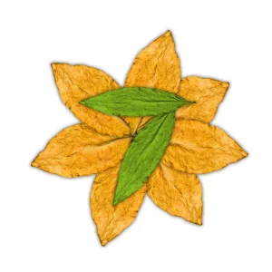 7Leaves