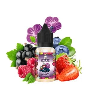 Arôme Concentré Cassis Gang 30ml – Kawaii
