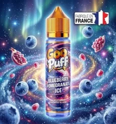 Blueberry Pomegranate Ice Goo Puff - 50ml