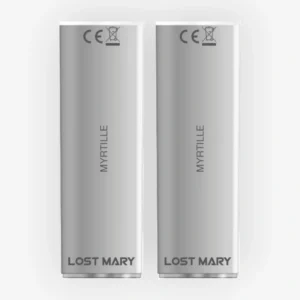 Cartouche 4en1 Myrtille (x2) - Lost Mary