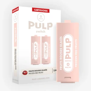 Cartouche Switch Fruits Rouges Glacés (x2) - Pulp