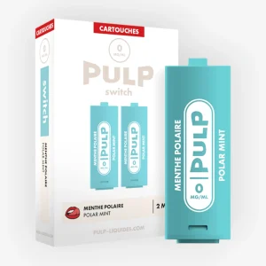 Cartouche Switch Menthe Polaire (x2) - Pulp