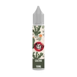 E-liquide Cactus 10 mL - Aisu