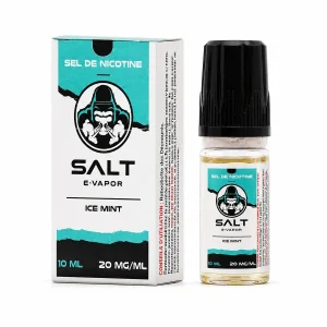 E-liquide Ice Mint 10 mL - Salt E-Vapor (Le French Liquide)