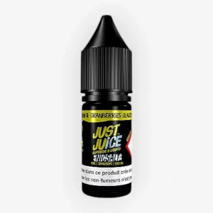 E-liquide Kiwi & Cranberries Glacées Nic Salt 10 mL - Iconic (Just Juice)
