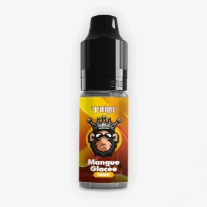 E-liquide Mangue Glacée Nic Salt 10 mL - Dr Vapes