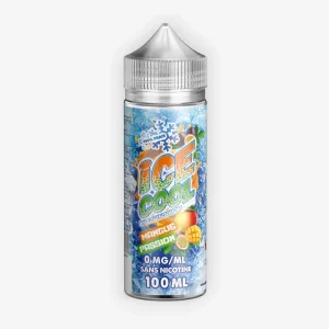 E-liquide Mangue Passion 100 mL - Ice Cool (Liquidarom)