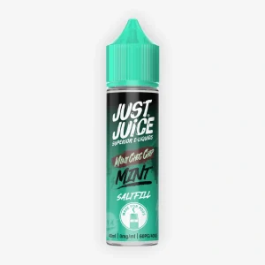 E-liquide Mint Choc Chip 40 mL - Saltfill (Just Juice)
