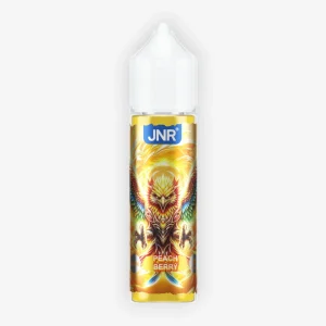 E-liquide Peach Berry 50 mL - JNR
