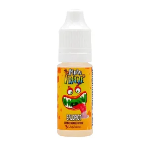 E-liquide Salopiot 10 mL - Multi Freeze (Liquideo)