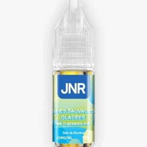 E-liquide Wild Berries Ice Nic Salts 10 mL - JNR