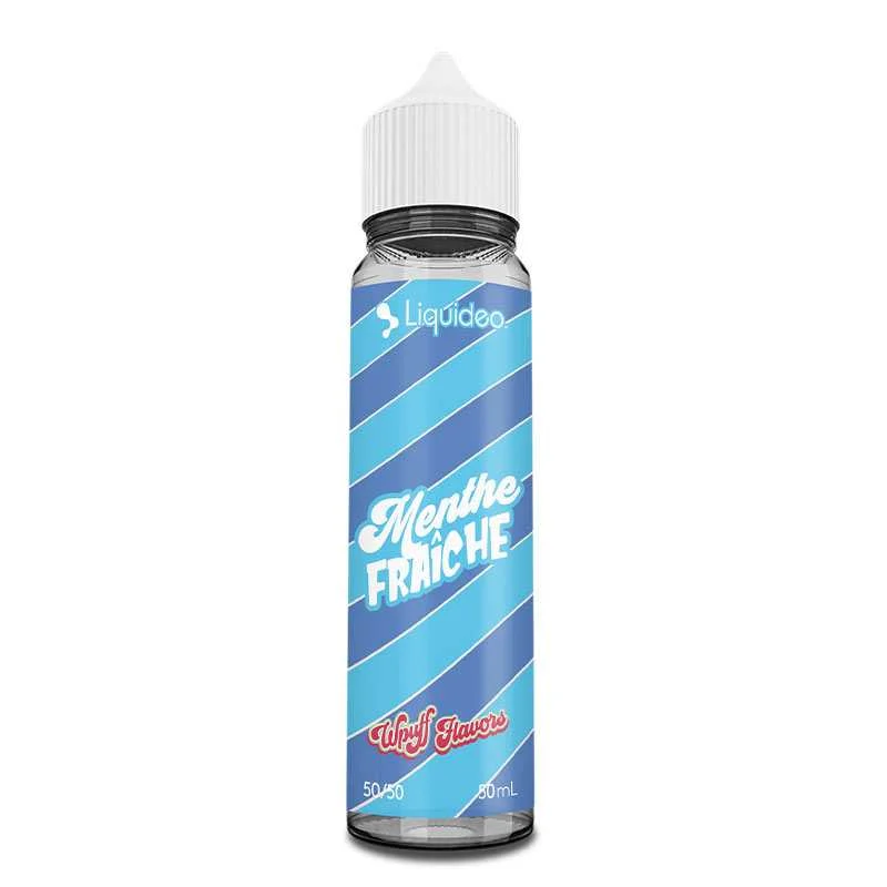 E-liquide Wpuff Flavors Menthe Fraîche 50ml – Liquideo