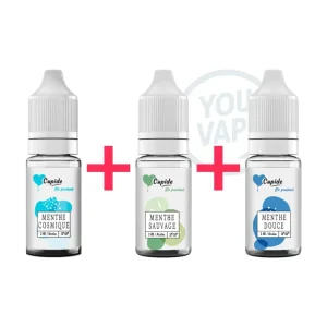 Pack E Liquides Menthe Découverte