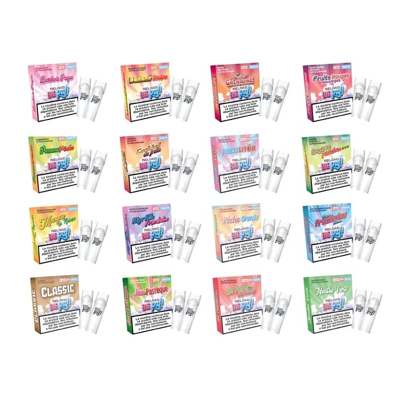 Pods Big Puff Reload 600 Puffs 2ml - Pack de 2