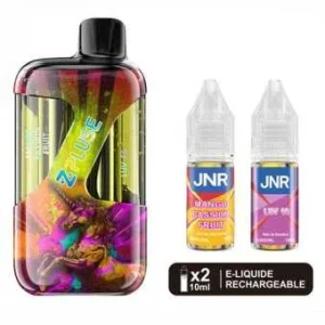 Puff Mango Passion Fruit + Luv 66 42K+ ZPluse JNR