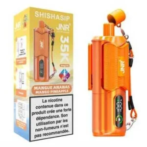 Puff Mango Pineapple JNR Shishasip 35K