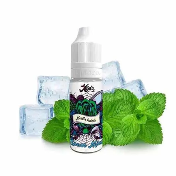 Spear Mint – Liquideo Xbud