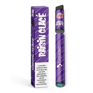 Wpuff 600 1 Batterie + 1 Pod Raisin Glacé - Liquideo